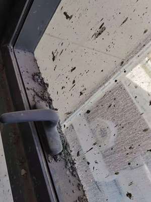 西寧專業保潔與維修服務指南 開荒、精保潔、清洗及防水補漏